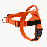 Harnais anti-traction pour chien Nuvyka