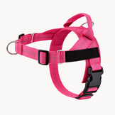 Harnais anti-traction pour chien Nuvyka