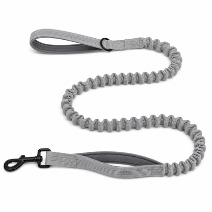 Laisse élastique assortie