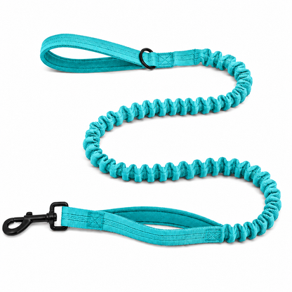 Laisse élastique assortie